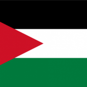 The Jordanian flag